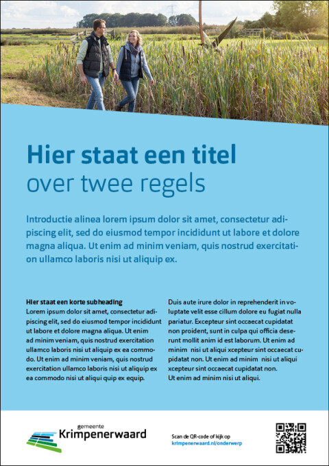 Flyer1