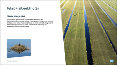 Ppt3